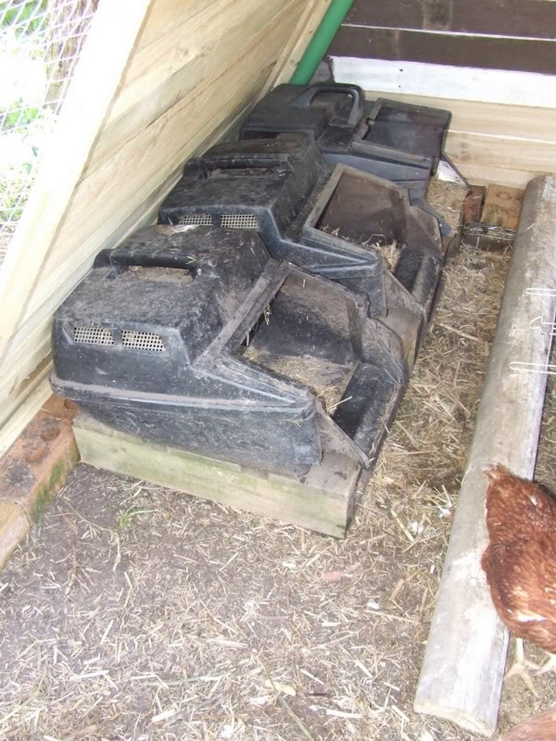 DIY Swing Set Turned Chicken Coop - Inside view