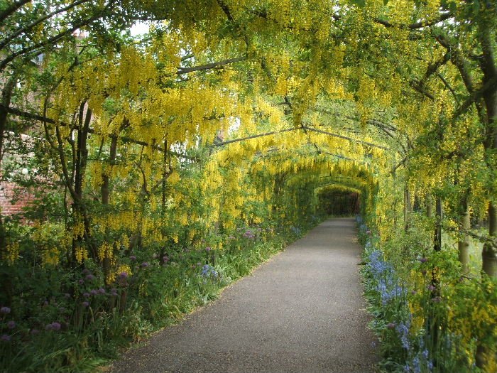 Marvelous-Flower-Tunnels.jpg