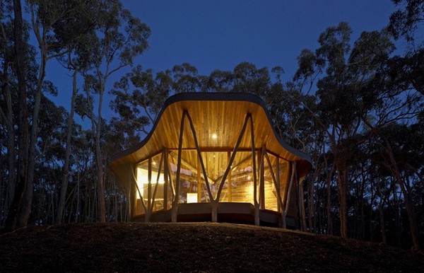 The Trunk House - Paul Morgan Architects