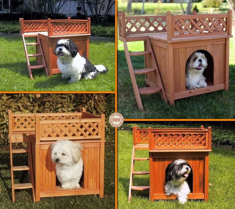 Dog House with Viewing Deck