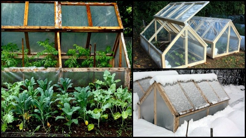 DIY Mini Greenhouse