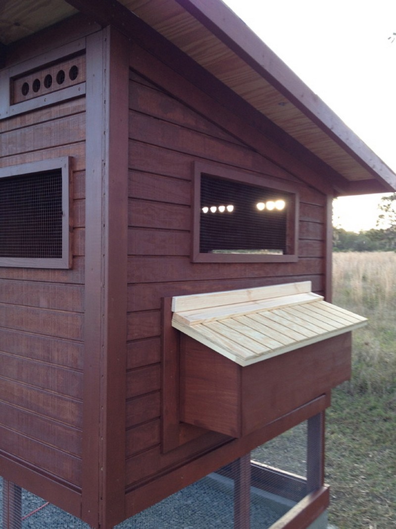 Source: Backyard Chickens