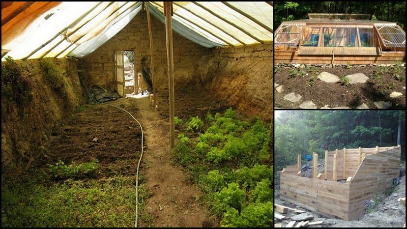 Earth-Sheltered Greenhouse