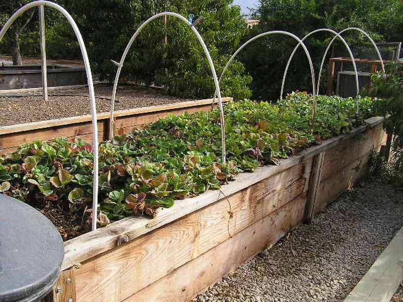 DIY Raised Garden Bed With Cover | The Owner-Builder Network