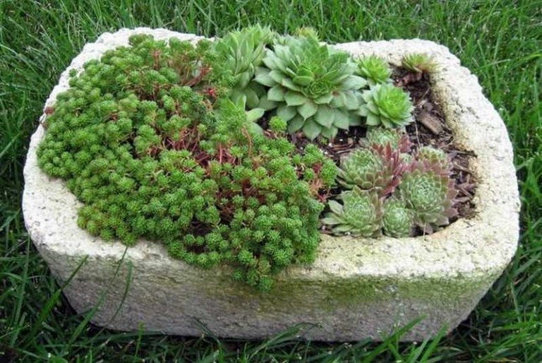 Hypertufa Planter Cool Looking Planters For Your Garden