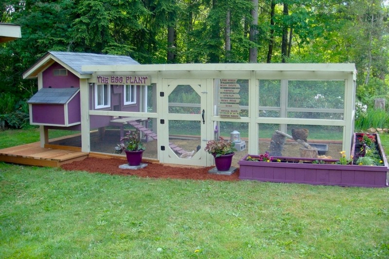 Chicken Coop Projects | The Owner-Builder Network