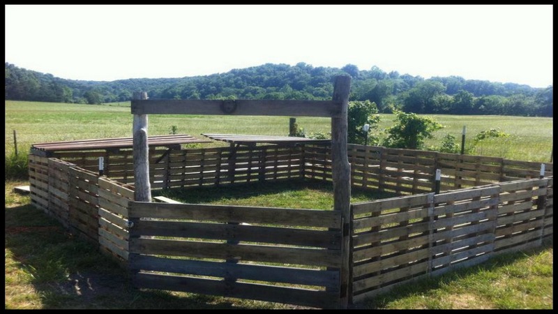 Repurposed Pallet Fence