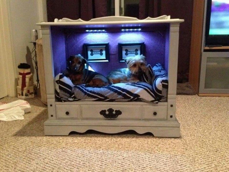 fabulous-dog-bed-design-ideas-your-pets-will-enjoy-the-owner-builder