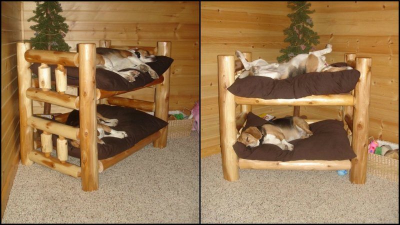 DogBeds