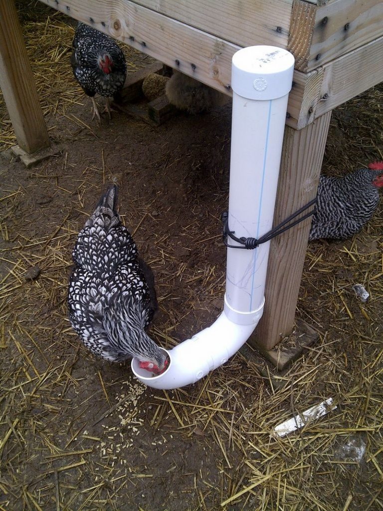 How to build an inexpensive chicken feeder from PVC  The Owner 
