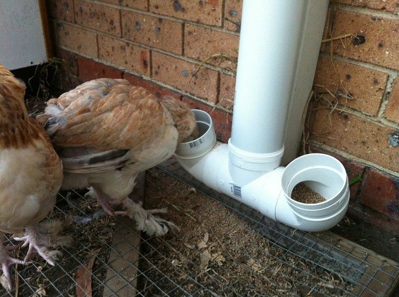 How to build an inexpensive chicken feeder from PVC | The ...