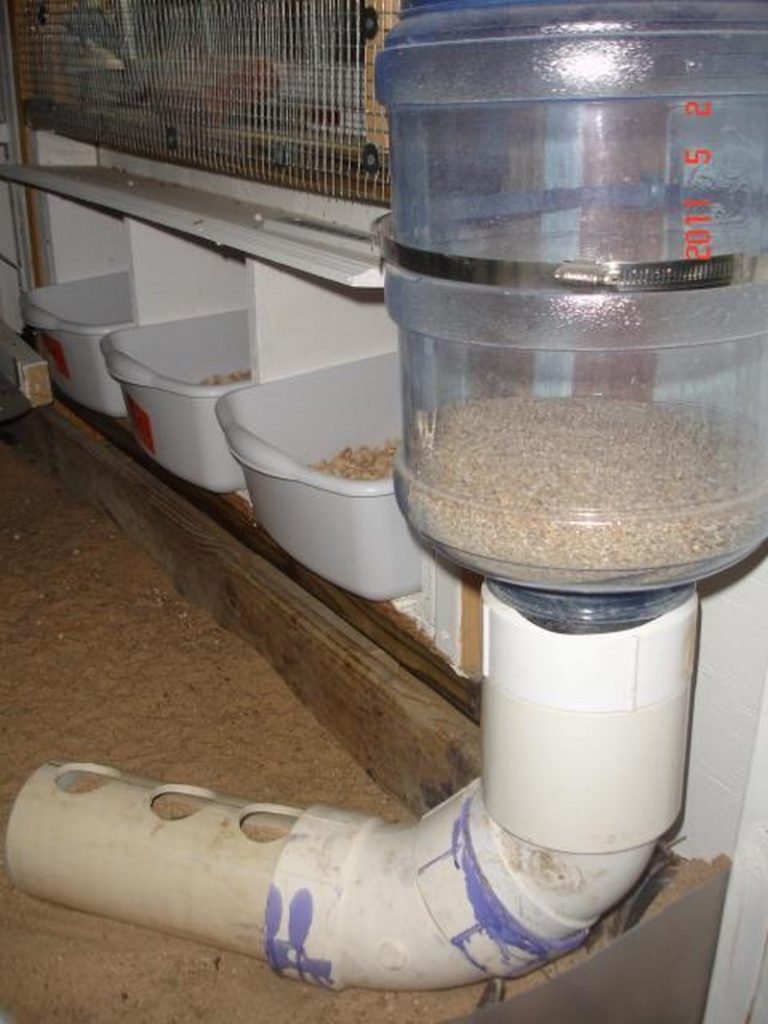 How to build an inexpensive chicken feeder from PVC | The ...
