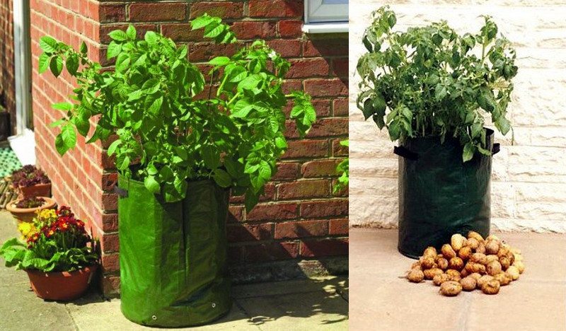 Potato tubs are designed to fit in the smallest of spaces...