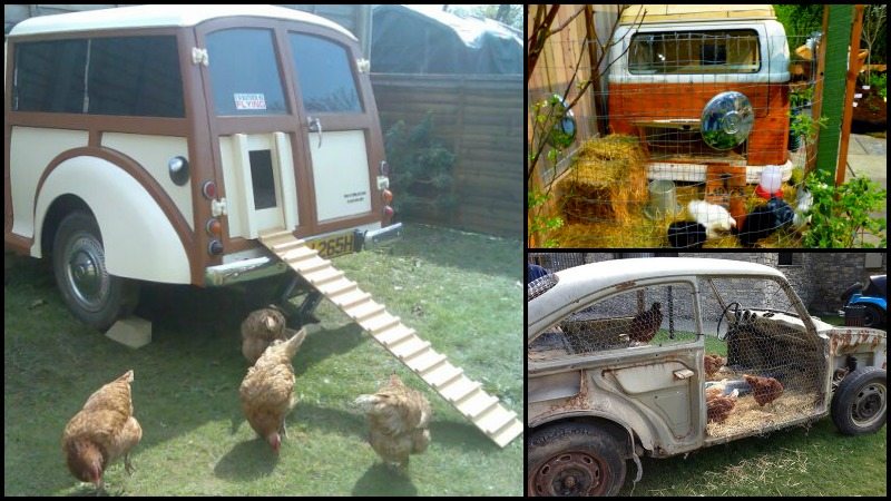 Old Vehicle Chicken Coops Main Image