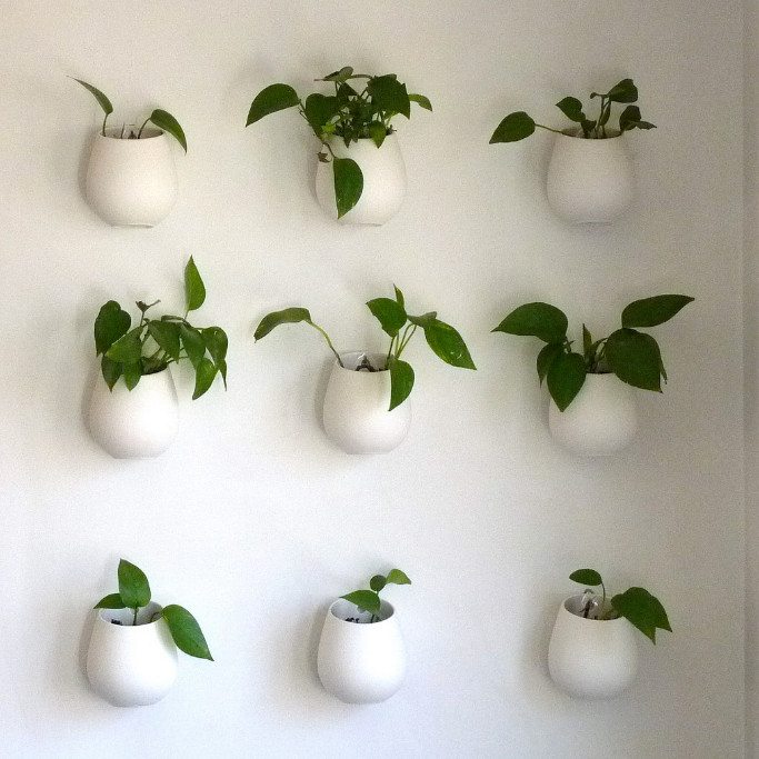 An instant vertical garden for your courtyard or deck area (image source: normanack, Flickr)