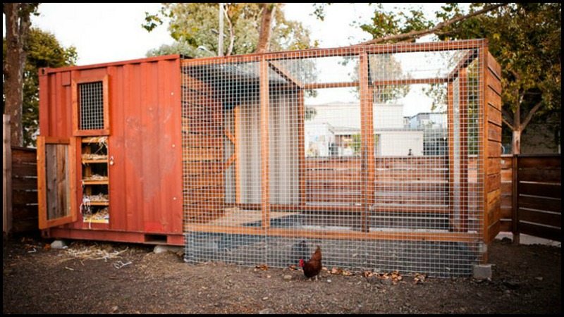 Shipping Container Transformed into Chicken Coop