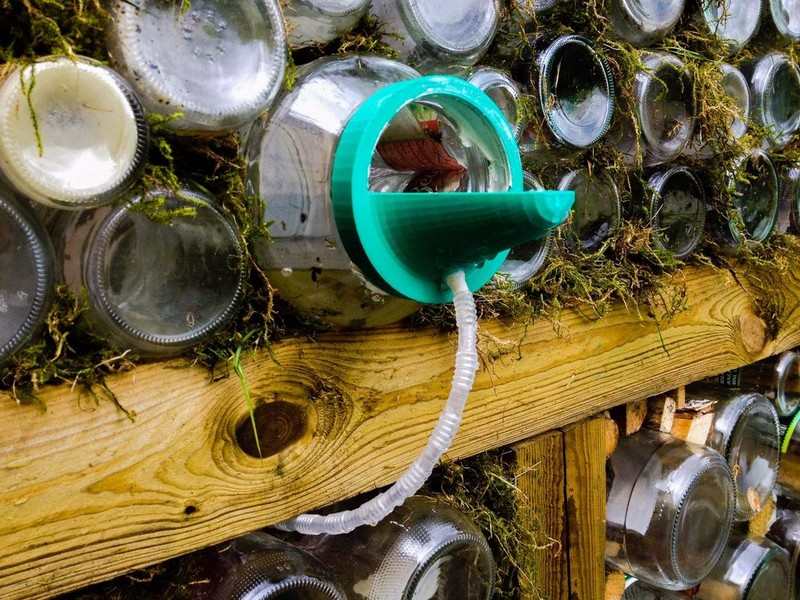 Glass Jar Greenhouse
