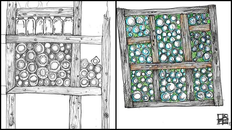 Glass Jar Greenhouse