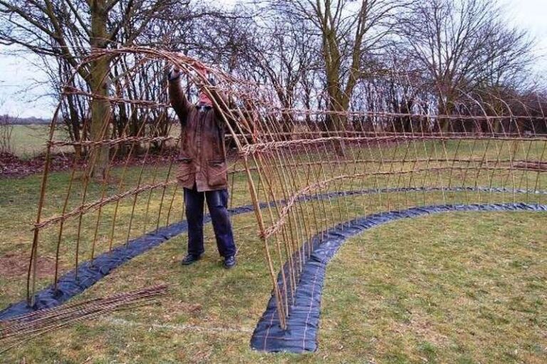 Living Willow Structures 20 – The garden!
