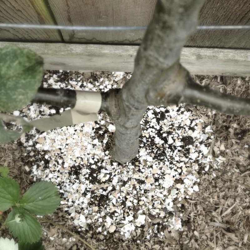 Trash Garden Will Love