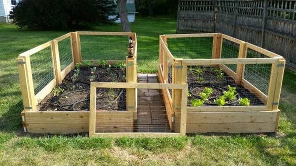 Removable Raised Garden Bed Fence: 8 Easy DIY Steps - The garden!