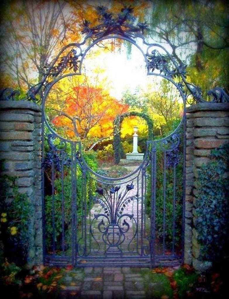 15 Beautiful Garden Gate Ideas to Enhance Your Space – The garden!