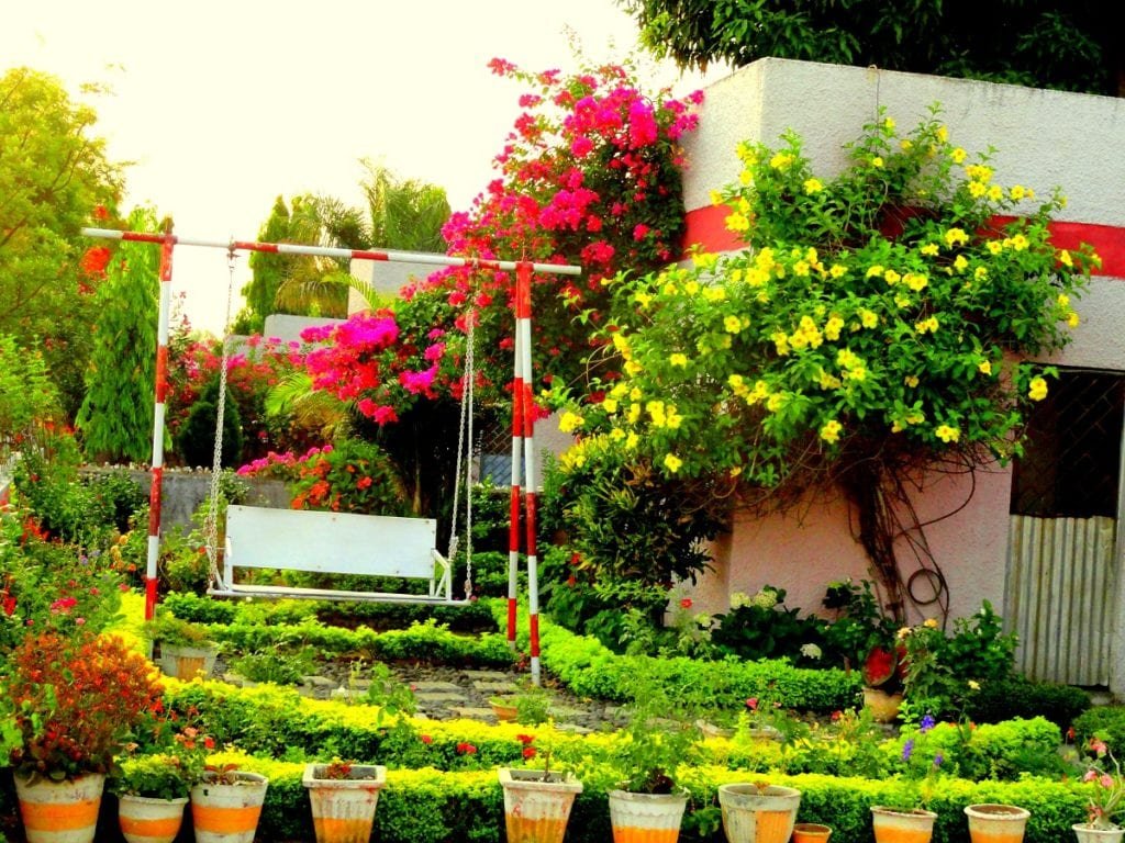 Gardening Tips