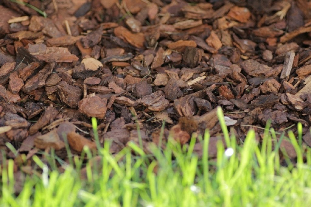 Mulch Basics