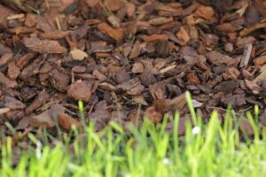 Mulch Basics