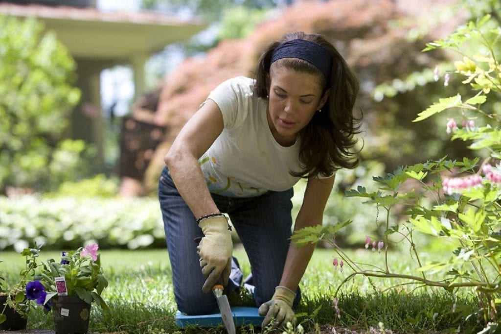 Use Hydrogen Peroxide in Your Garden