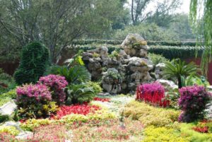 Your garden is full of secrets.