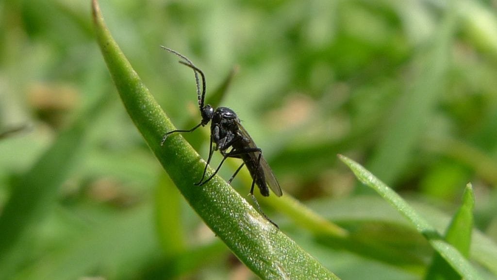 Getting Rid of an Unwanted House Guest