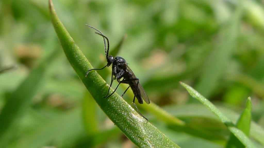 Getting Rid of an Unwanted House Guest