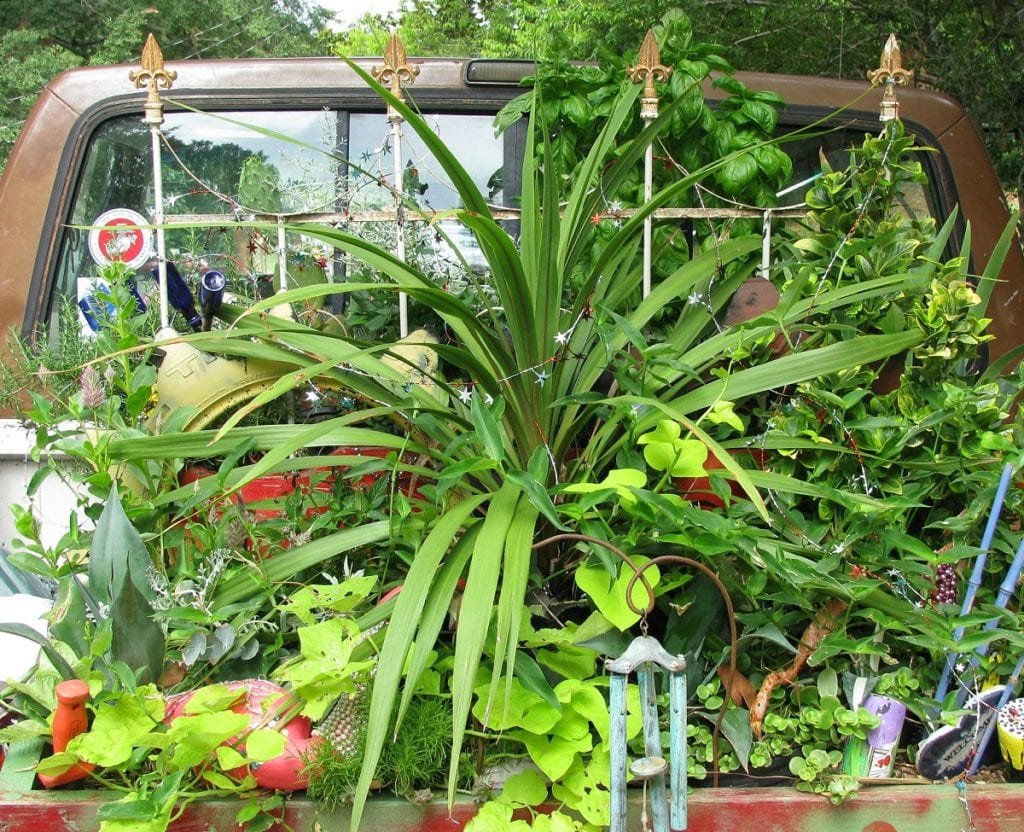 Learning How to Slow Garden