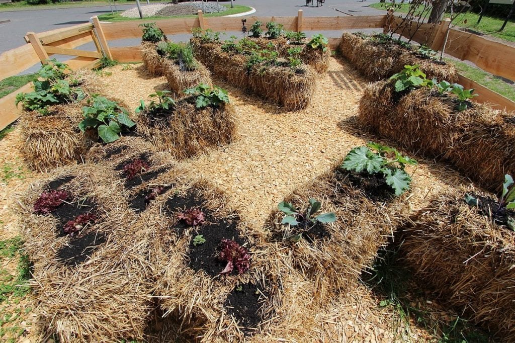 Straw Bale Gardening