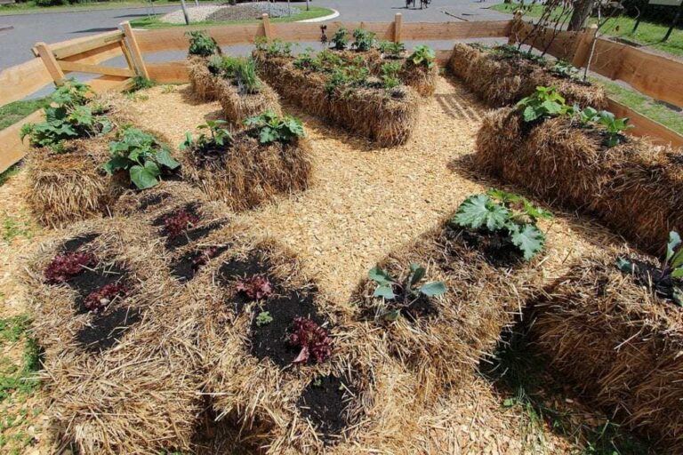 Straw Bale Gardening