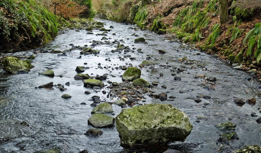Conserving a Precious Resource