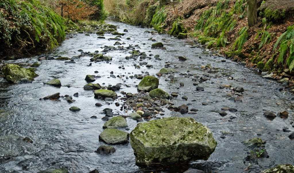 Conserving a Precious Resource