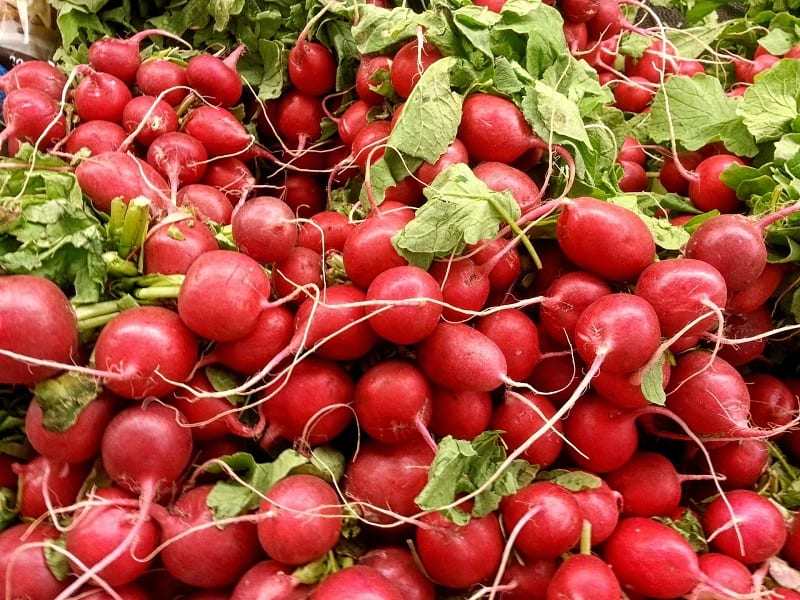 9 Sandy Soil Tolerant Vegetables That are Easy to Grow – The garden!