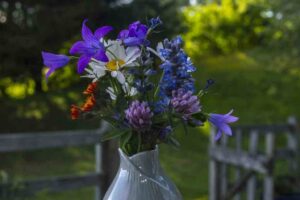 Grow a Cutting Garden