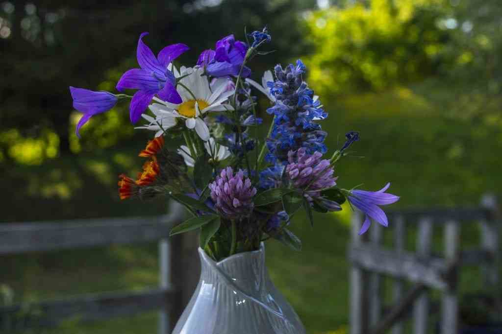 Grow a Cutting Garden
