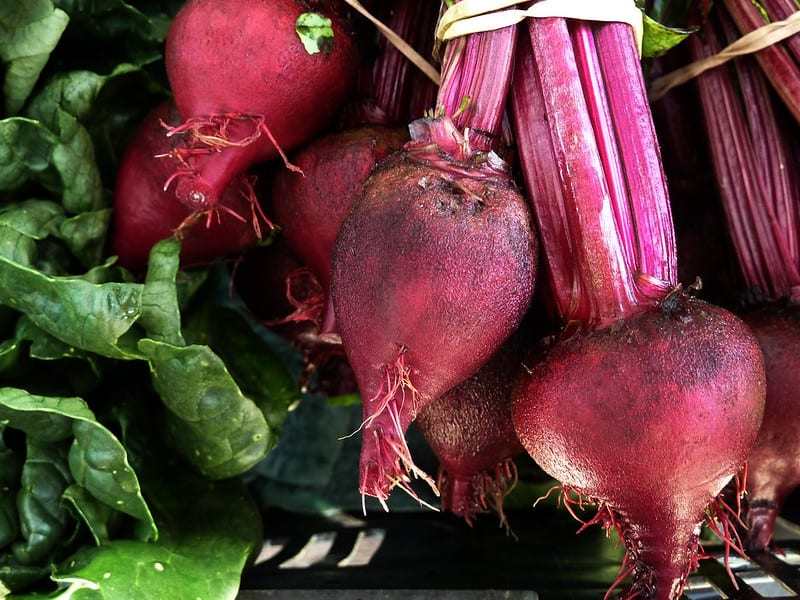 Planting, Growing, and Harvesting Beets – The garden!