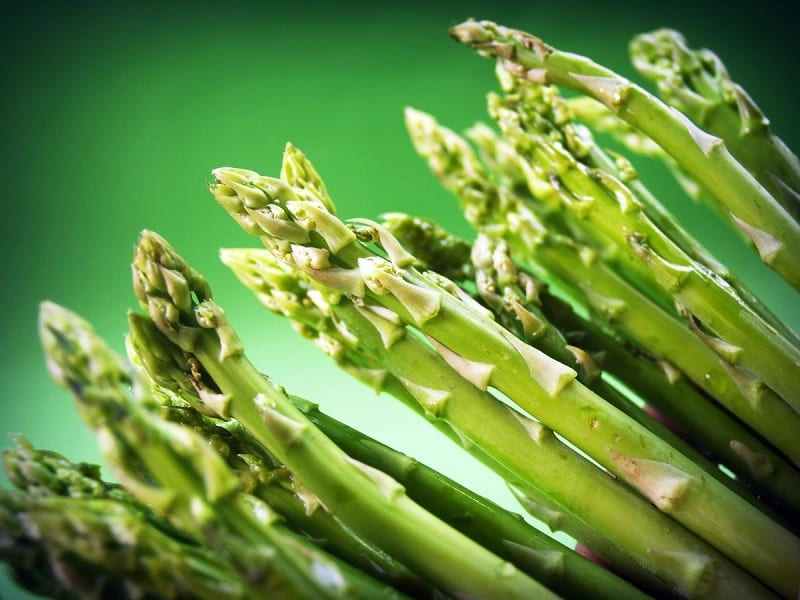 9 Sandy Soil Tolerant Vegetables That are Easy to Grow – The garden!