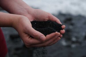 Composting is great for the environment and even better for your garden.