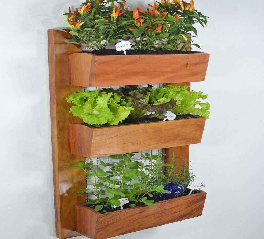 Vertical Gardening: Get the Most Yield with These 8 Proven Strategies ... - Vertical Gardening Strategies