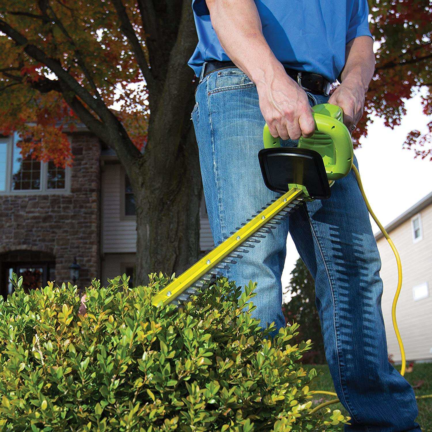 The 6 Best Electric Hedge Trimmers of 2024 – The garden!