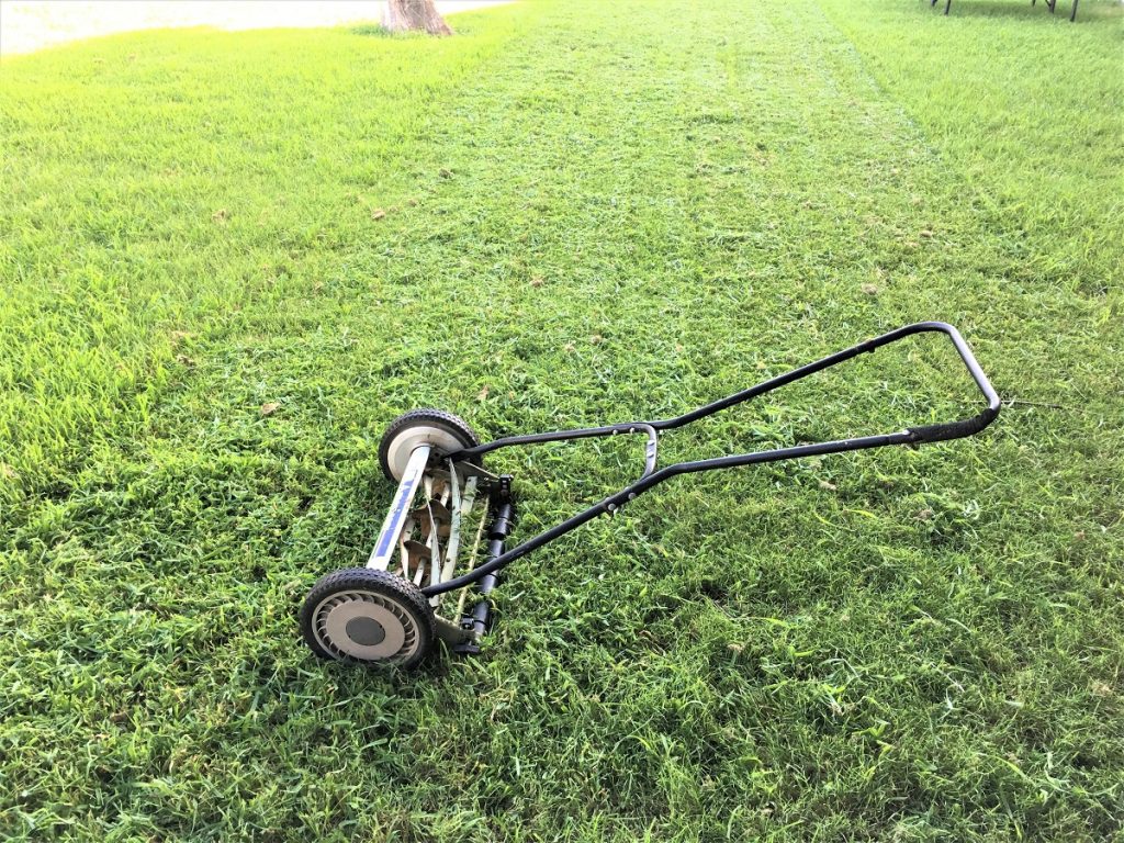 Reel Lawnmower
