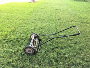 Reel Lawnmower