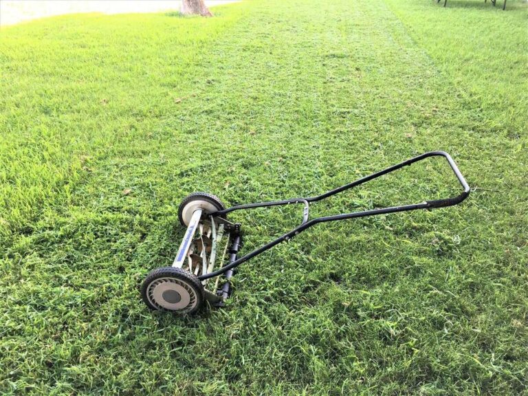 Reel Lawnmower