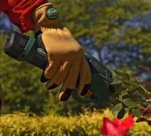 Electric Pruning Shears